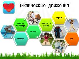 Обеспечение здоровьесберегающей направленности физического воспитания в дошкольном учреждении, слайд 11
