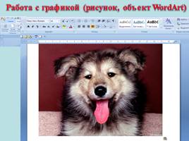 Дополнительные возможности текстового процессора MS Word, слайд 10