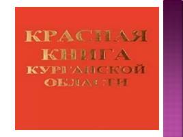 Красная книга курганской области, слайд 1