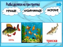 Кто такие рыбы?, слайд 7