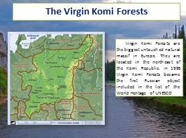 The Fauna of  the Virgin Forests of the Komi Republic, слайд 2