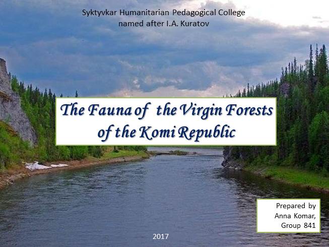 Презентация The Fauna of  the Virgin Forests of the Komi Republic