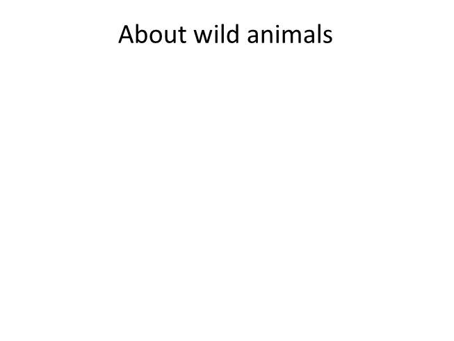Презентация About wild animals