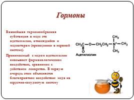 Биохимический состав и биохимические процессы, происходящие при переработке и хранении мёда, слайд 17