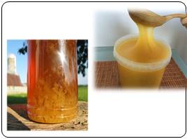 Биохимический состав и биохимические процессы, происходящие при переработке и хранении мёда, слайд 20