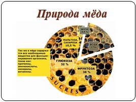 Биохимический состав и биохимические процессы, происходящие при переработке и хранении мёда, слайд 5