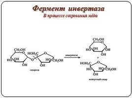 Биохимический состав и биохимические процессы, происходящие при переработке и хранении мёда, слайд 9