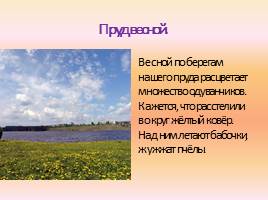Сочинение по русскому языку «Достопримечательности города: Режевской пруд», слайд 4