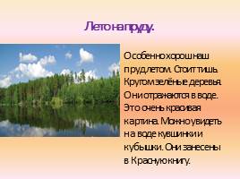 Сочинение по русскому языку «Достопримечательности города: Режевской пруд», слайд 5