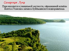 Национальный парк "Самарская Лука", слайд 4