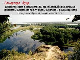Национальный парк "Самарская Лука", слайд 5