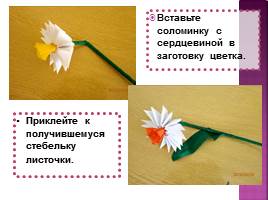 Модульное оригами «Цветы Нарцисы», слайд 14
