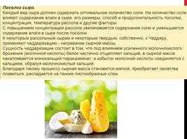 Химический состав сыра, его полезные свойства и влияние на организм, слайд 17