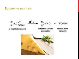 Химический состав сыра, его полезные свойства и влияние на организм, слайд 20