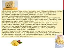 Химический состав сыра, его полезные свойства и влияние на организм, слайд 23