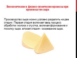 Химический состав сыра, его полезные свойства и влияние на организм, слайд 7