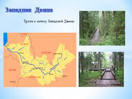 Памятники природы Русской равнины, слайд 20