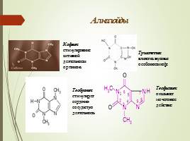 Биохимический состав и биохимические процессы, происходящие при переработке и хранении в кофе, слайд 5