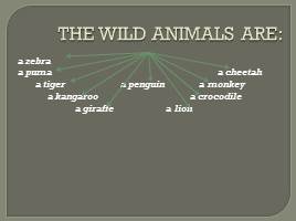 Ah, these funny animals!, слайд 6