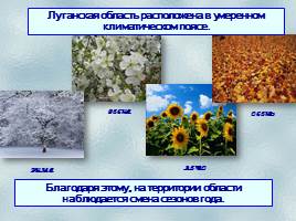 Сезонные изменения в природе родного края в Донбассе, слайд 3