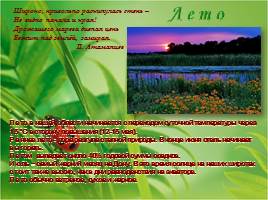 Сезонные изменения в природе родного края в Донбассе, слайд 6