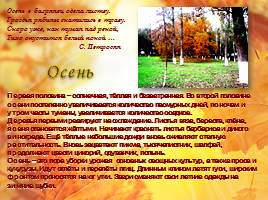 Сезонные изменения в природе родного края в Донбассе, слайд 7