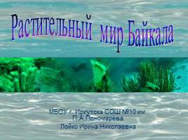 Растительность Байкала, слайд 1