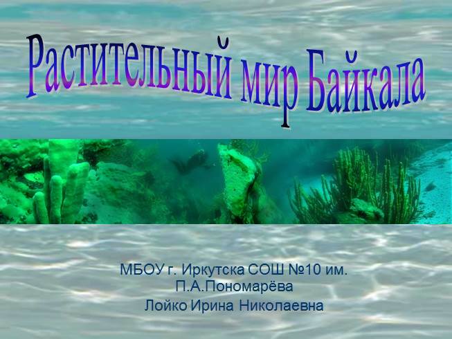 Презентация Растительность Байкала