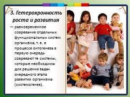 Основные закономерности роста и развития детского организма, слайд 19