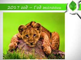 2017 год- год экологии в Российской Федерации, слайд 13
