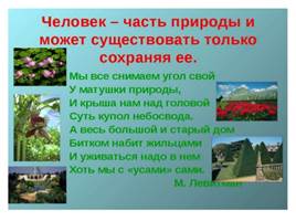 2017 год- год экологии в Российской Федерации, слайд 17