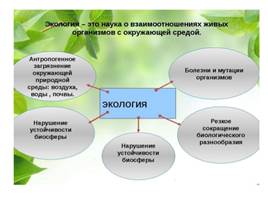 2017 год- год экологии в Российской Федерации, слайд 4