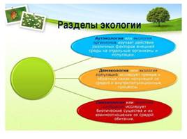 2017 год- год экологии в Российской Федерации, слайд 9
