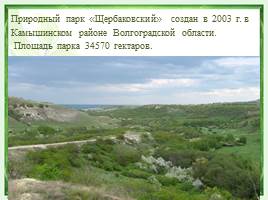 Природный парк «Щербаковский», слайд 2