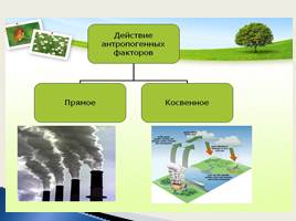 Антропогенное воздействие на окружающую среду - Допустимая антропогенная нагрузка, слайд 6