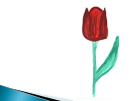 Рисование тюльпана, слайд 7