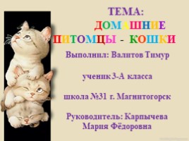 Презентация Домашние питомцы - кошки