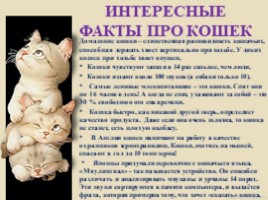 Домашние питомцы - кошки, слайд 16