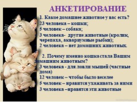 Домашние питомцы - кошки, слайд 18
