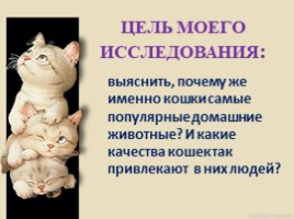 Домашние питомцы - кошки, слайд 3