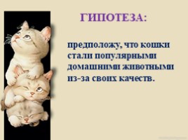Домашние питомцы - кошки, слайд 5