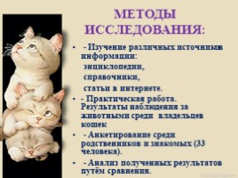 Домашние питомцы - кошки, слайд 6