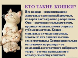 Домашние питомцы - кошки, слайд 7