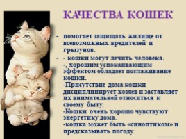 Домашние питомцы - кошки, слайд 9