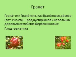 Биологические названия плодов, или что мы едим на самом деле, слайд 2