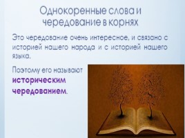 История развития русского языка. Исторический корень, слайд 4