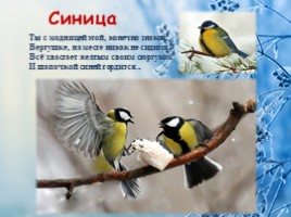 Зимующие птицы нашего края, слайд 10