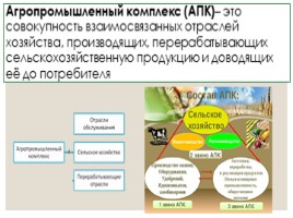 Агропромышленный комплекс России, слайд 2