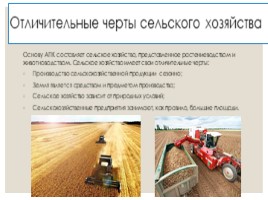 Агропромышленный комплекс России, слайд 3