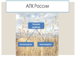 Агропромышленный комплекс России, слайд 4